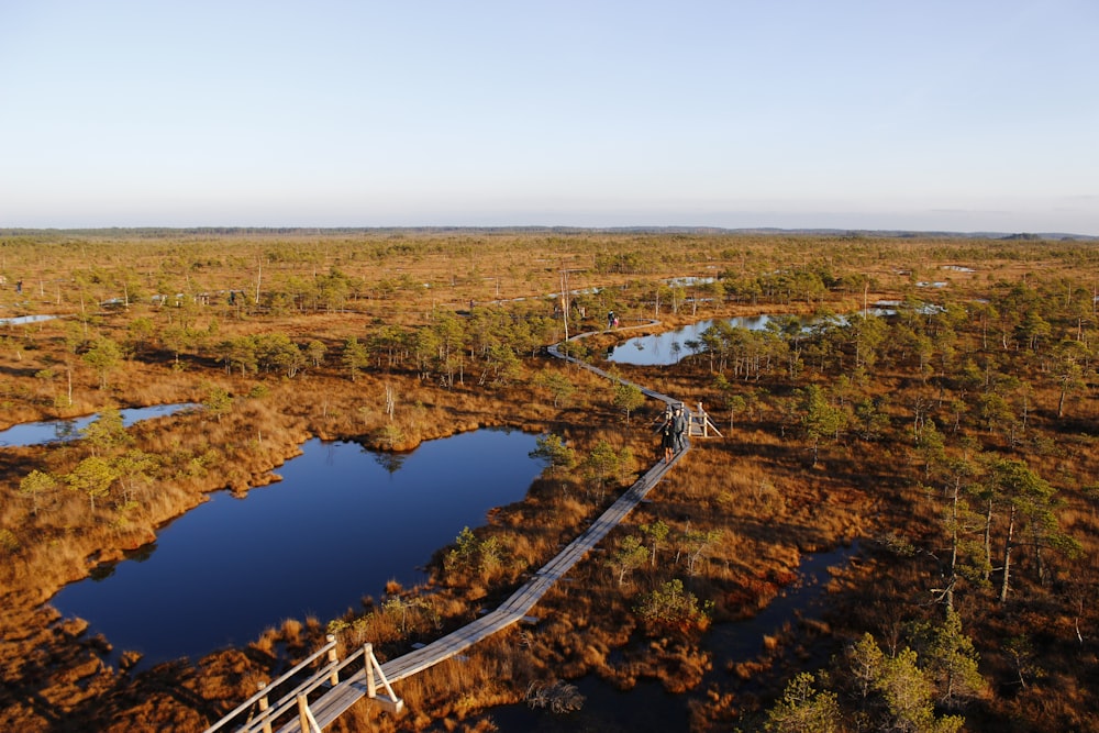 bird's eye view of brown wooden bridges