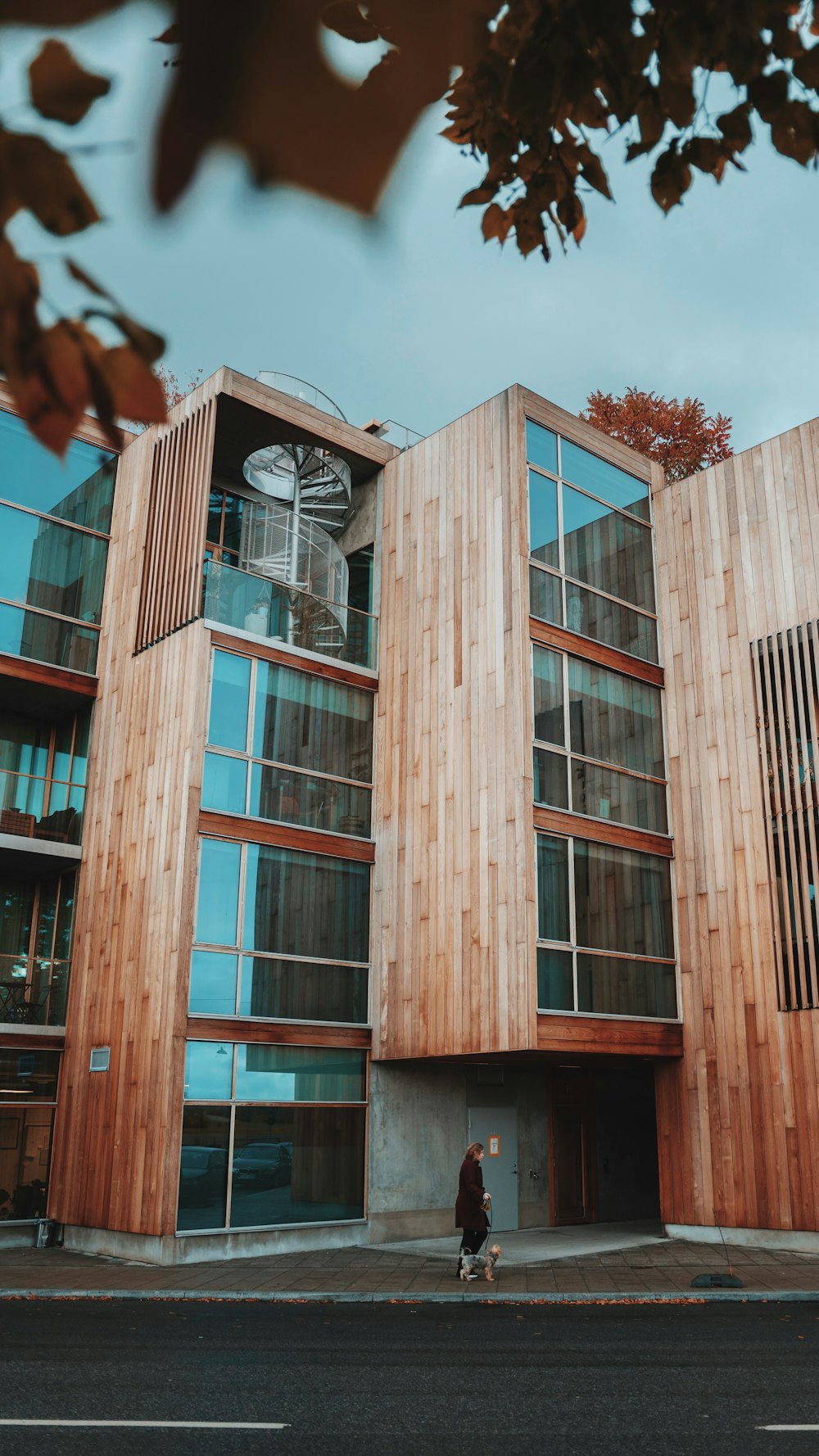 woman with her pet walks near brown building with glass windows