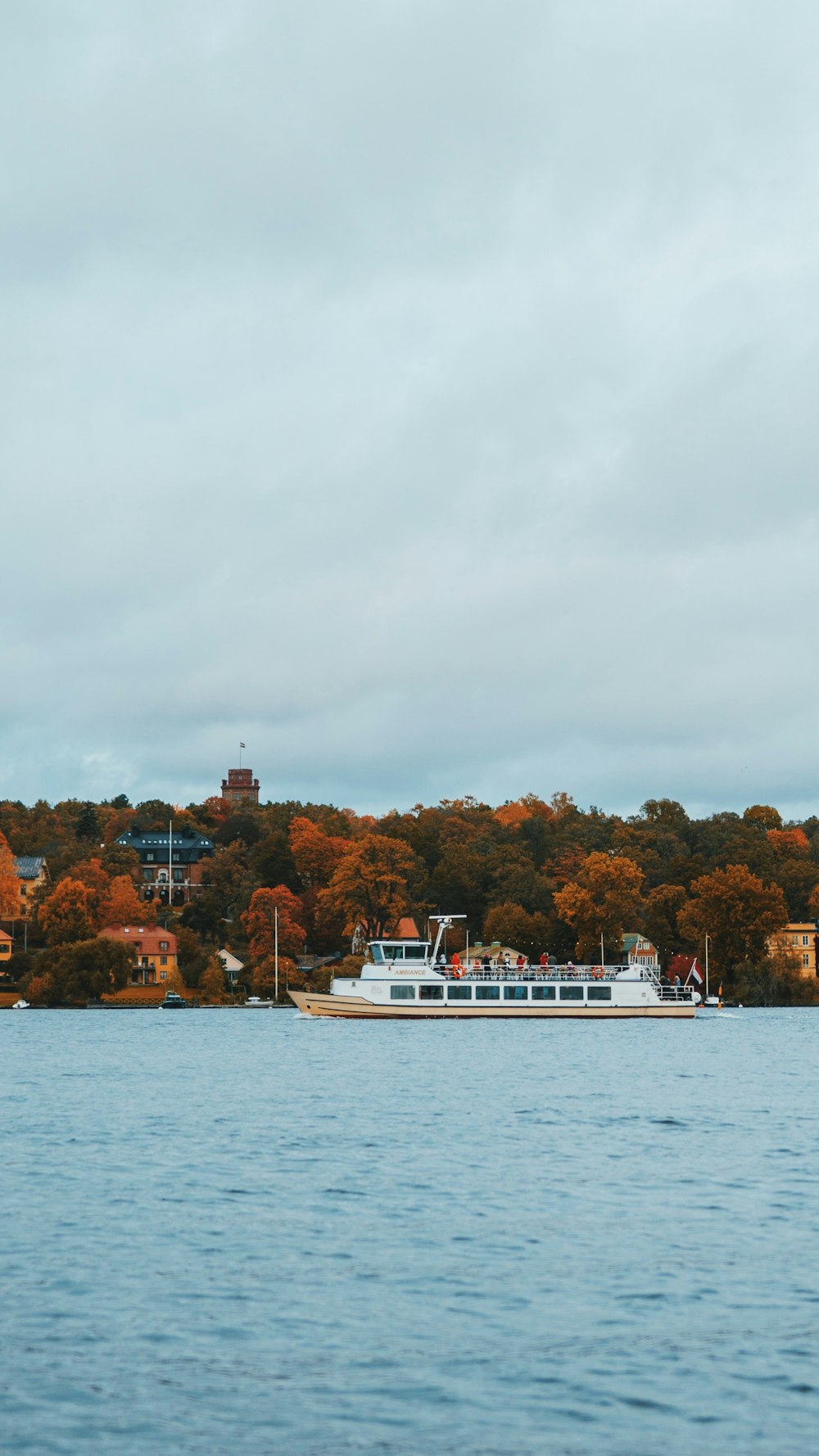 white yacht beside brown trees