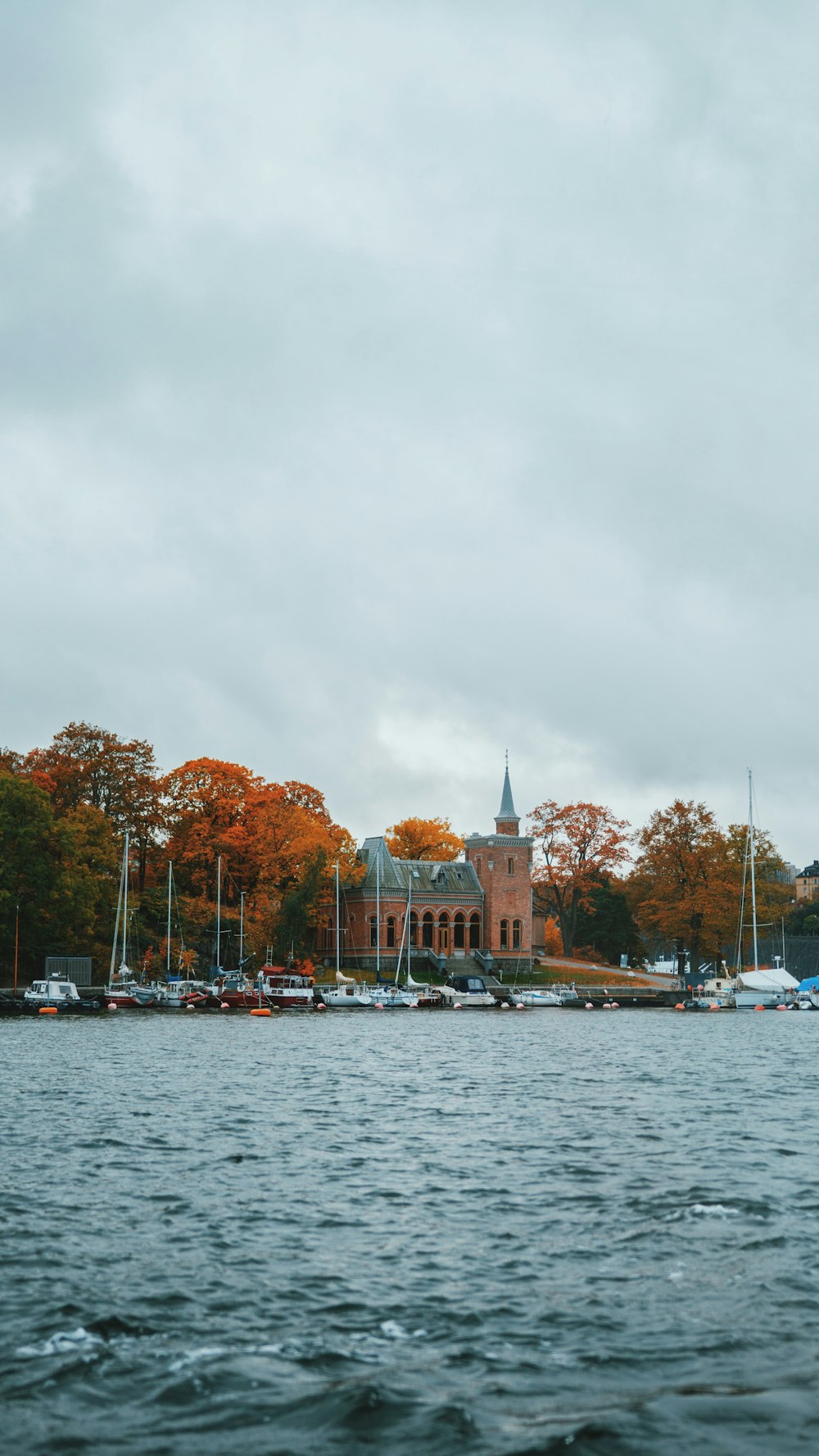 photo of yellow and green trees