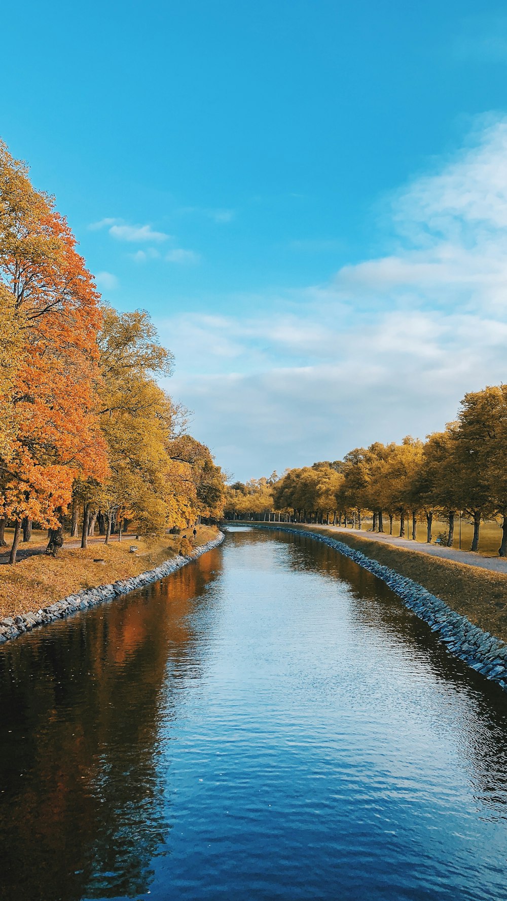 photo of lake and green trees