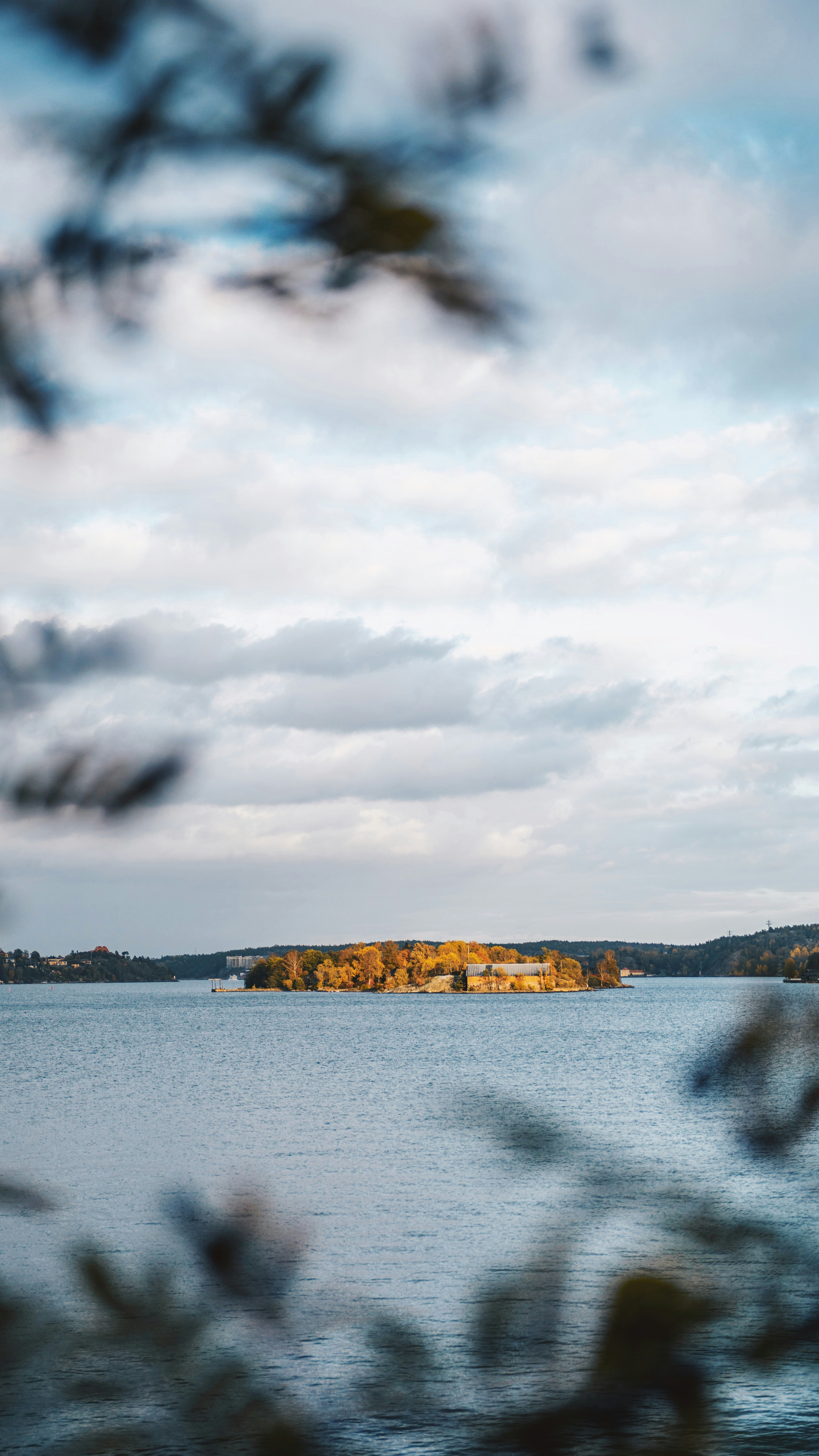 Photo by linusmimietz