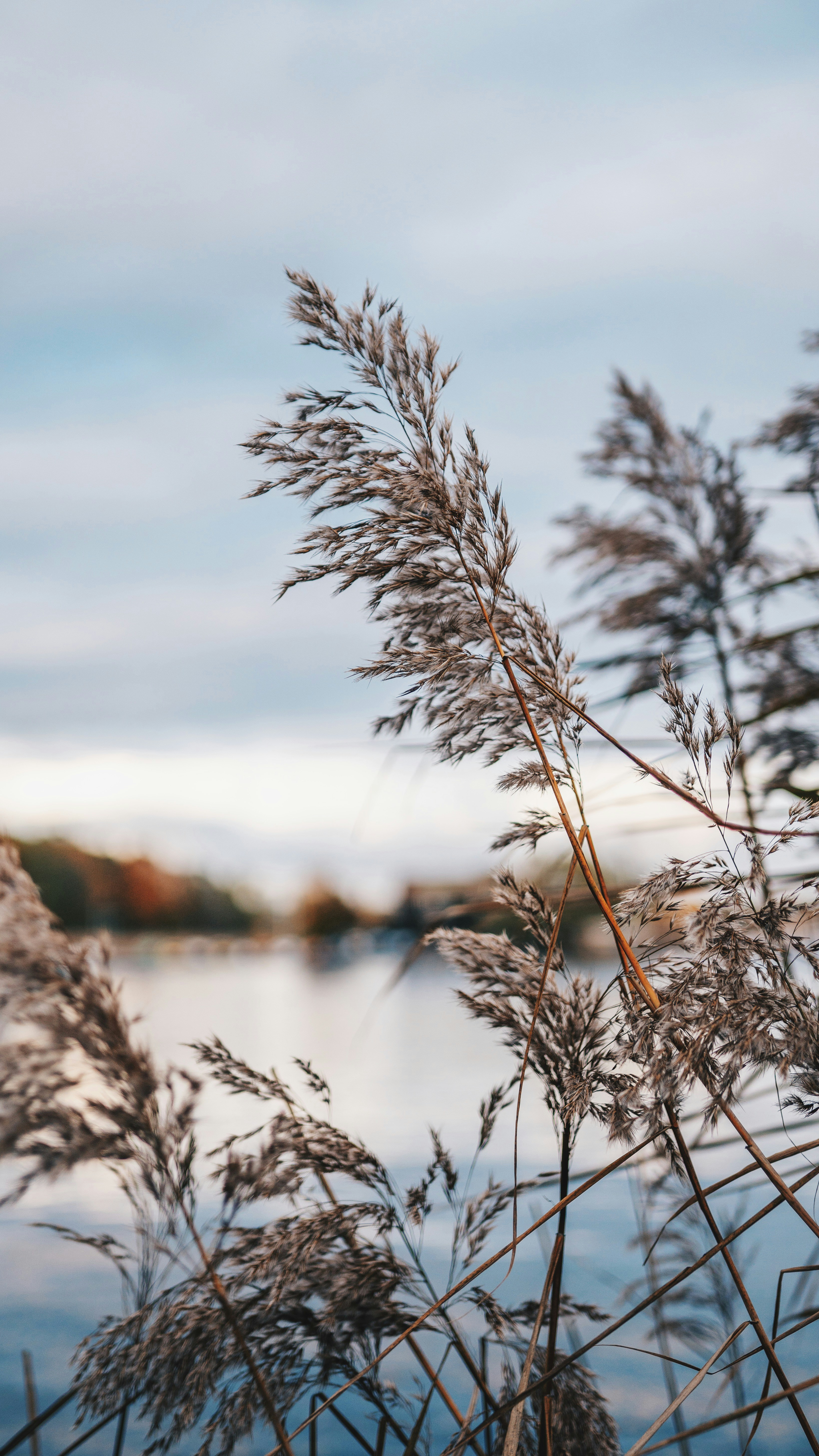 Photo by linusmimietz