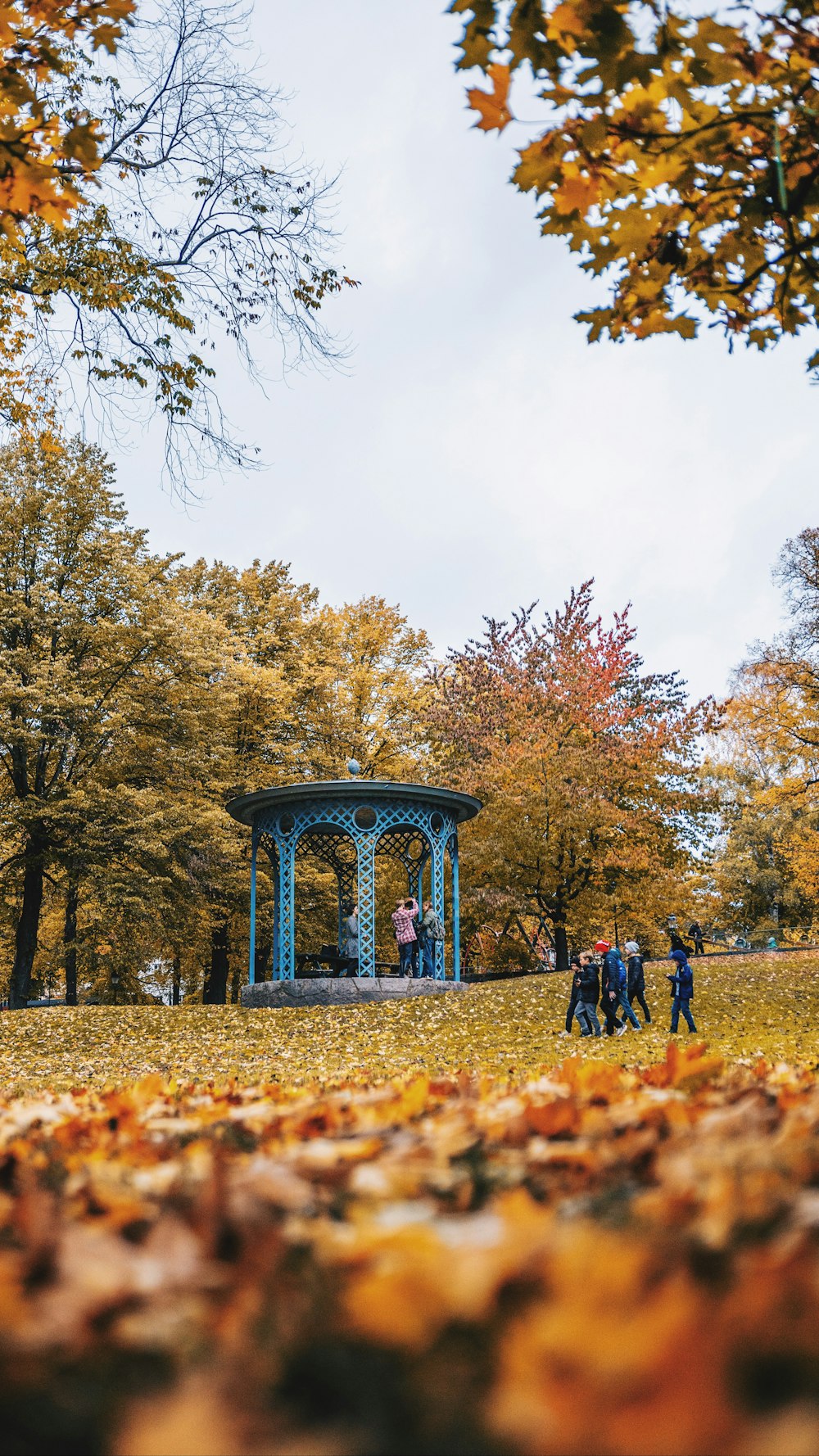 gazebo at the park during daytime