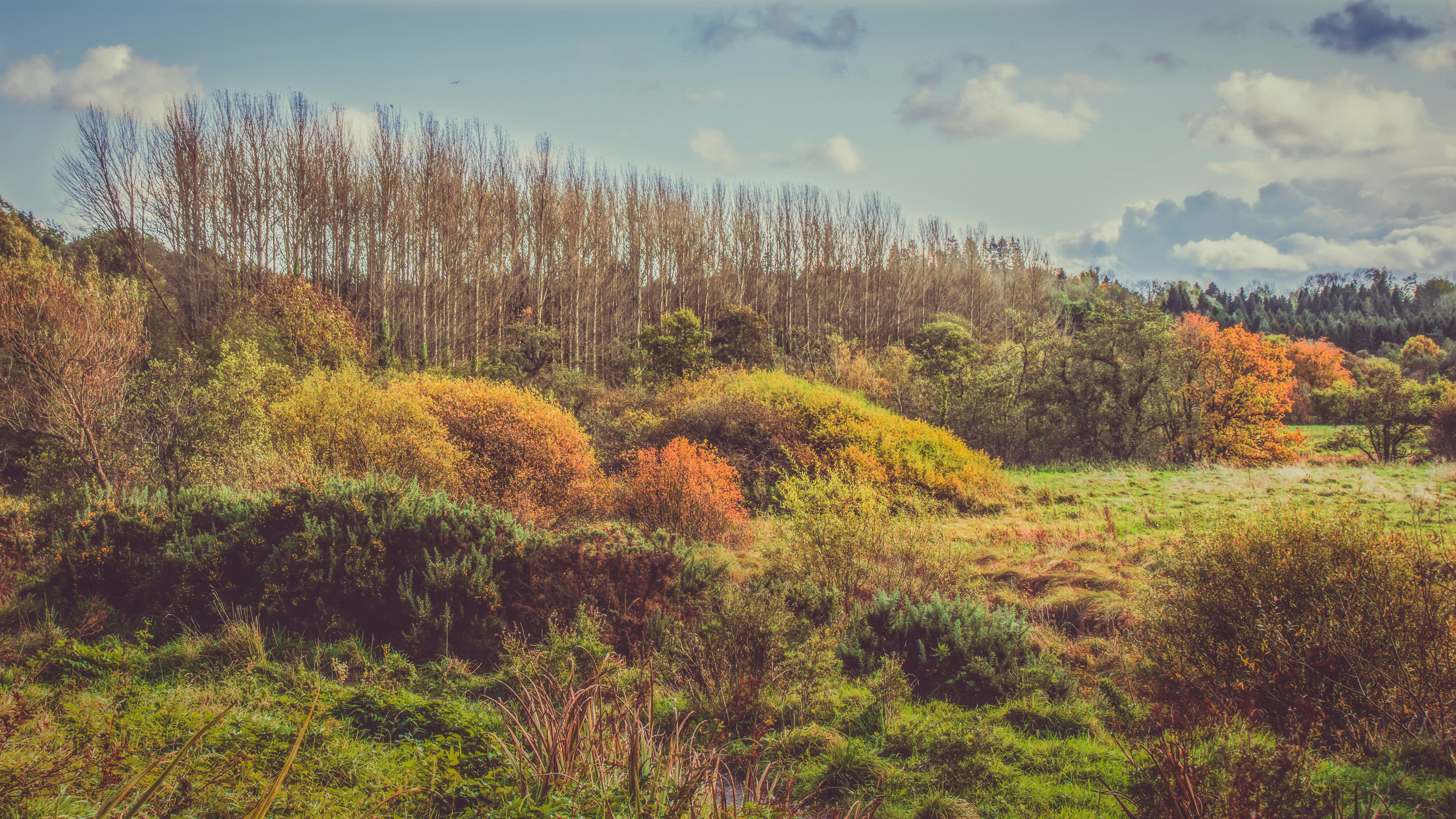 Photo by kmitchhodge