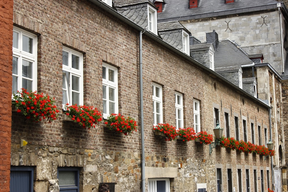 brown brick buildings