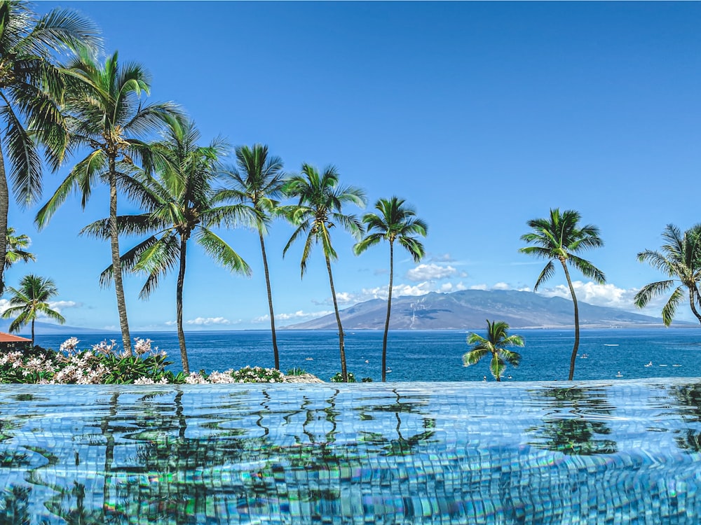 blue infinity pool overlooking the sea