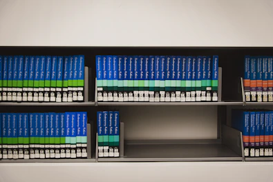 A minimalist blue bookshelf filled with books and decorative items.