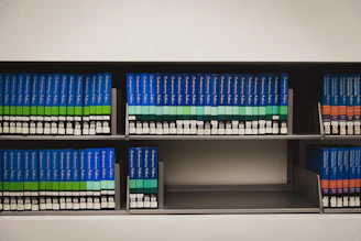 A minimalist blue bookshelf filled with books and decorative items.