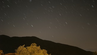 A dark night sky with visible star trails indicating long exposure. Below, a silhouette of a mountain range and a tree in the foreground.