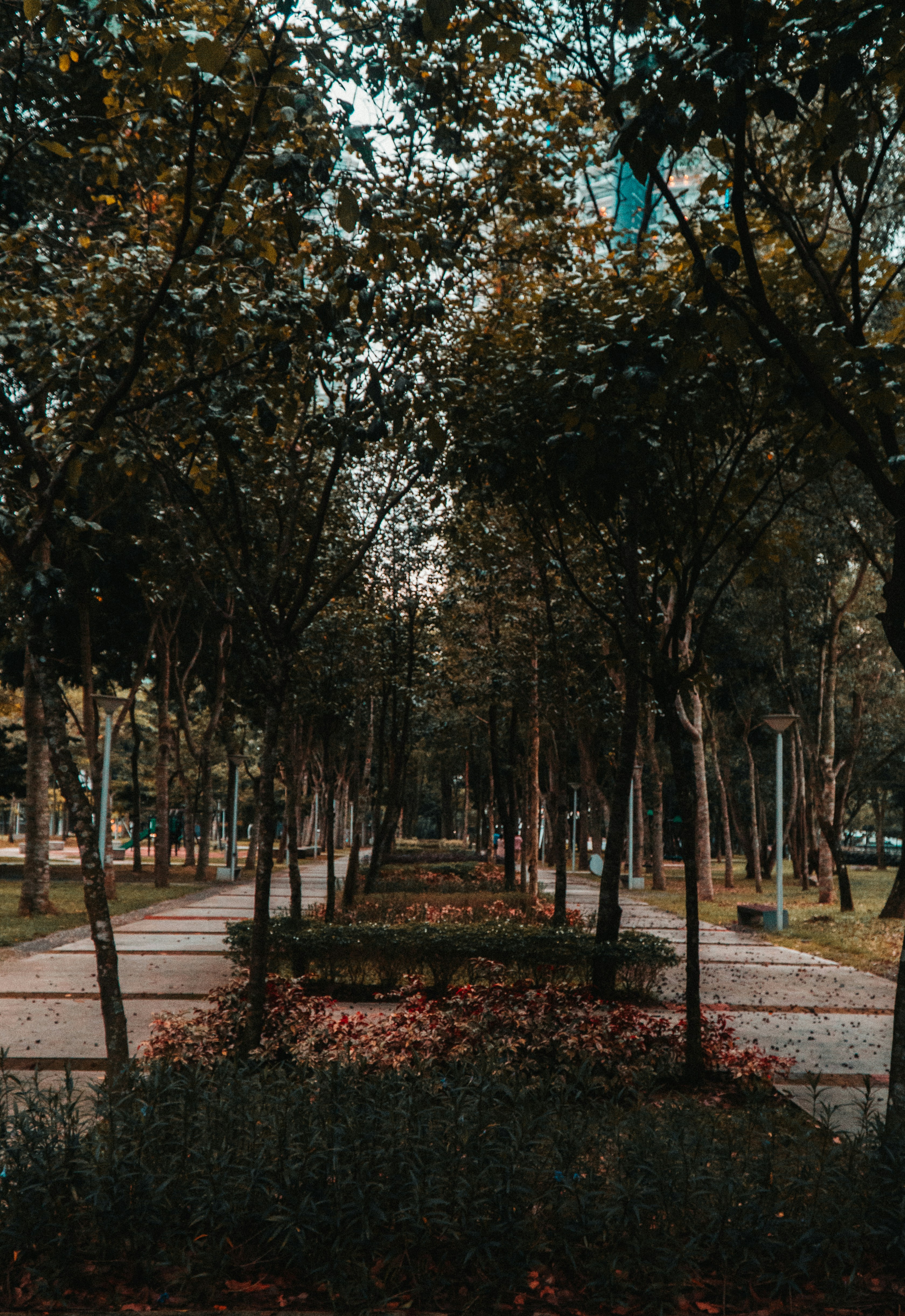 Photo by beyonndlee93