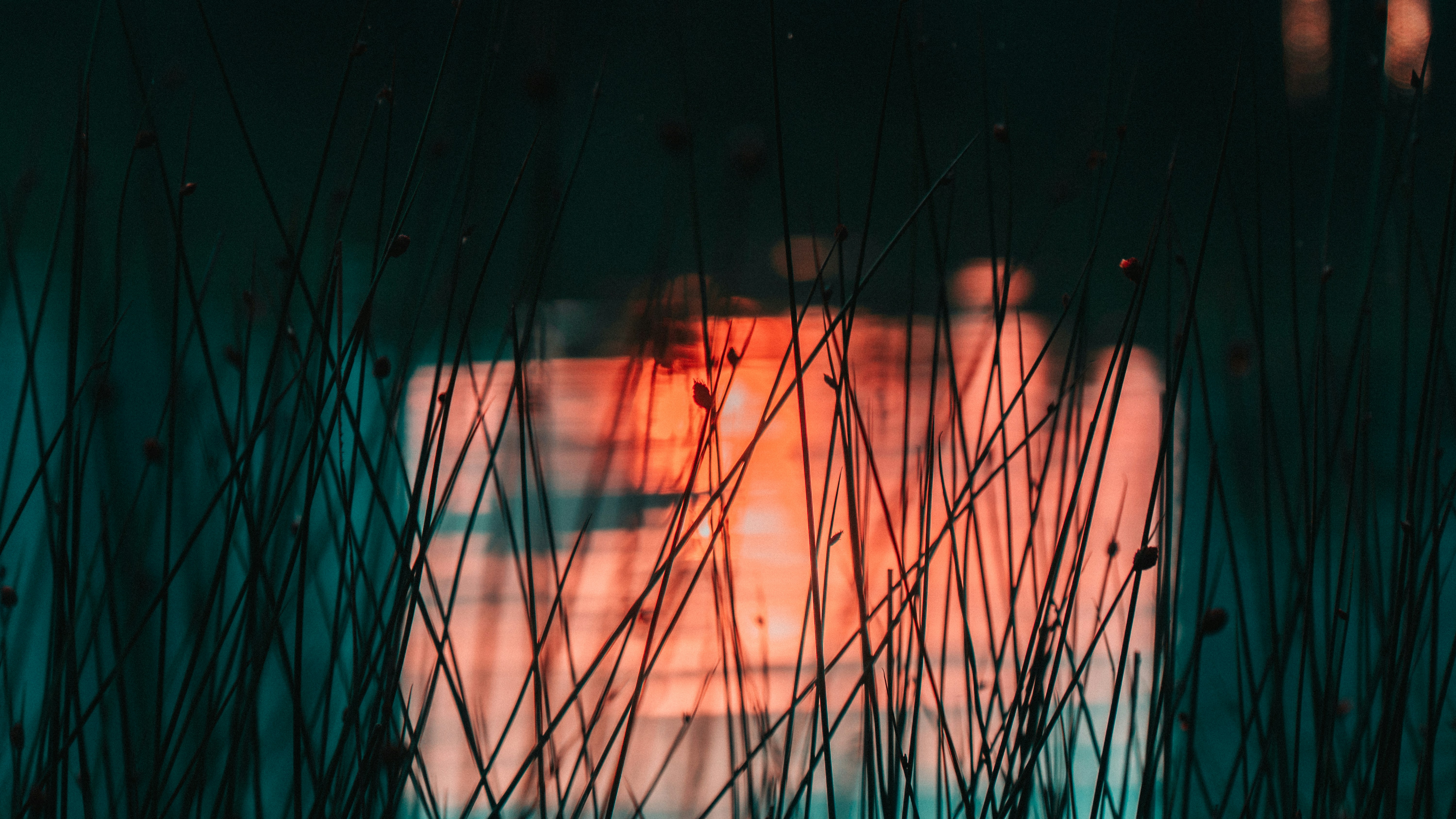 Photo by beyonndlee93