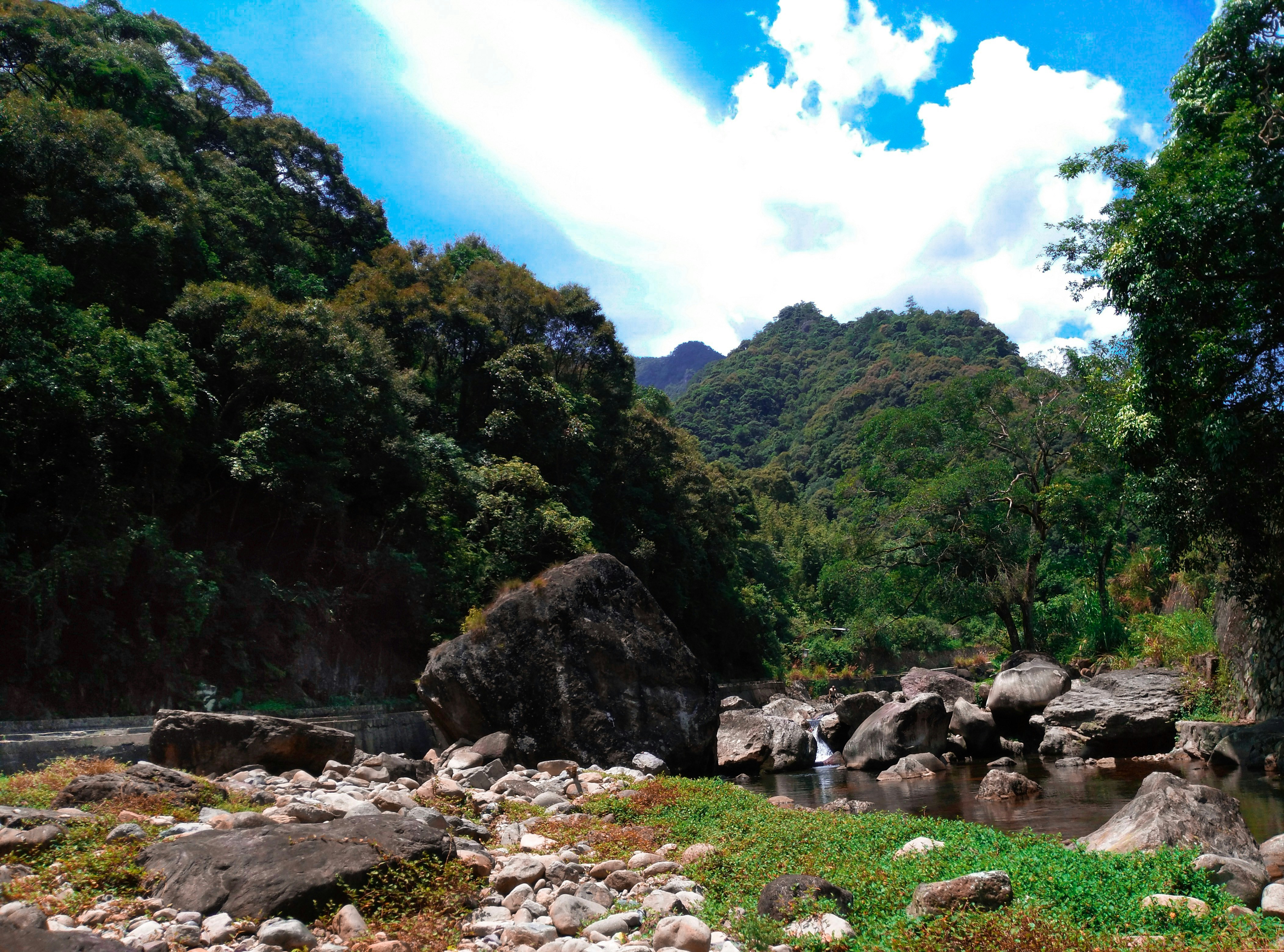 Photo by shredder2002