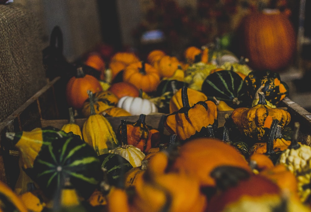 assorted-color of squashes on boxes