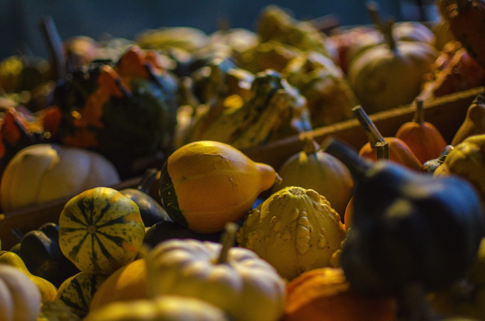 pile of squashes