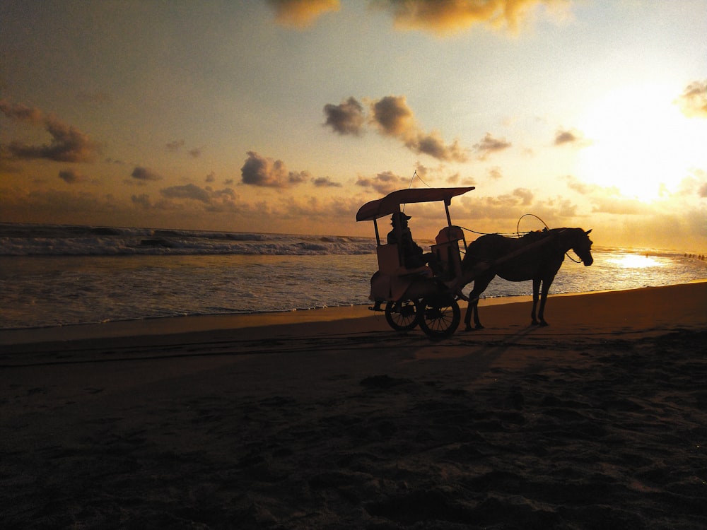 person riding carriage near seashore under blue and yellow sky