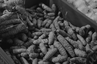 A pile of turmeric roots fills a container alongside some garlic bulbs on the side. The turmeric is arranged in a disordered manner, with some wrapped in plastic and others loose.