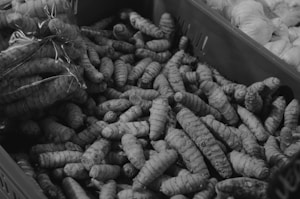 Organic Turmeric Powder