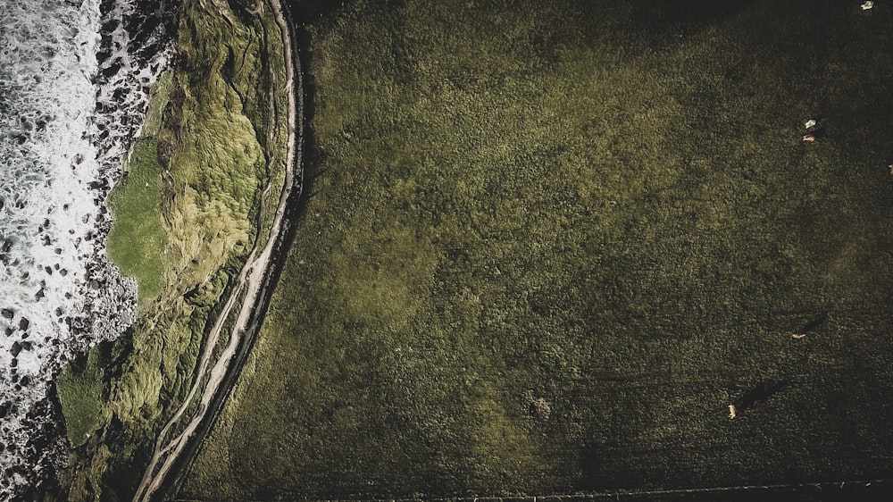 top view of a green field by a beach