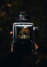 A hand holds a vintage camera, showing a viewfinder displaying a dog laying on green grass with leaves in the background. The camera is in focus while the hand is blurred, creating a shallow depth of field effect.