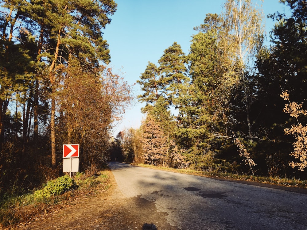 red and white stop sign on road