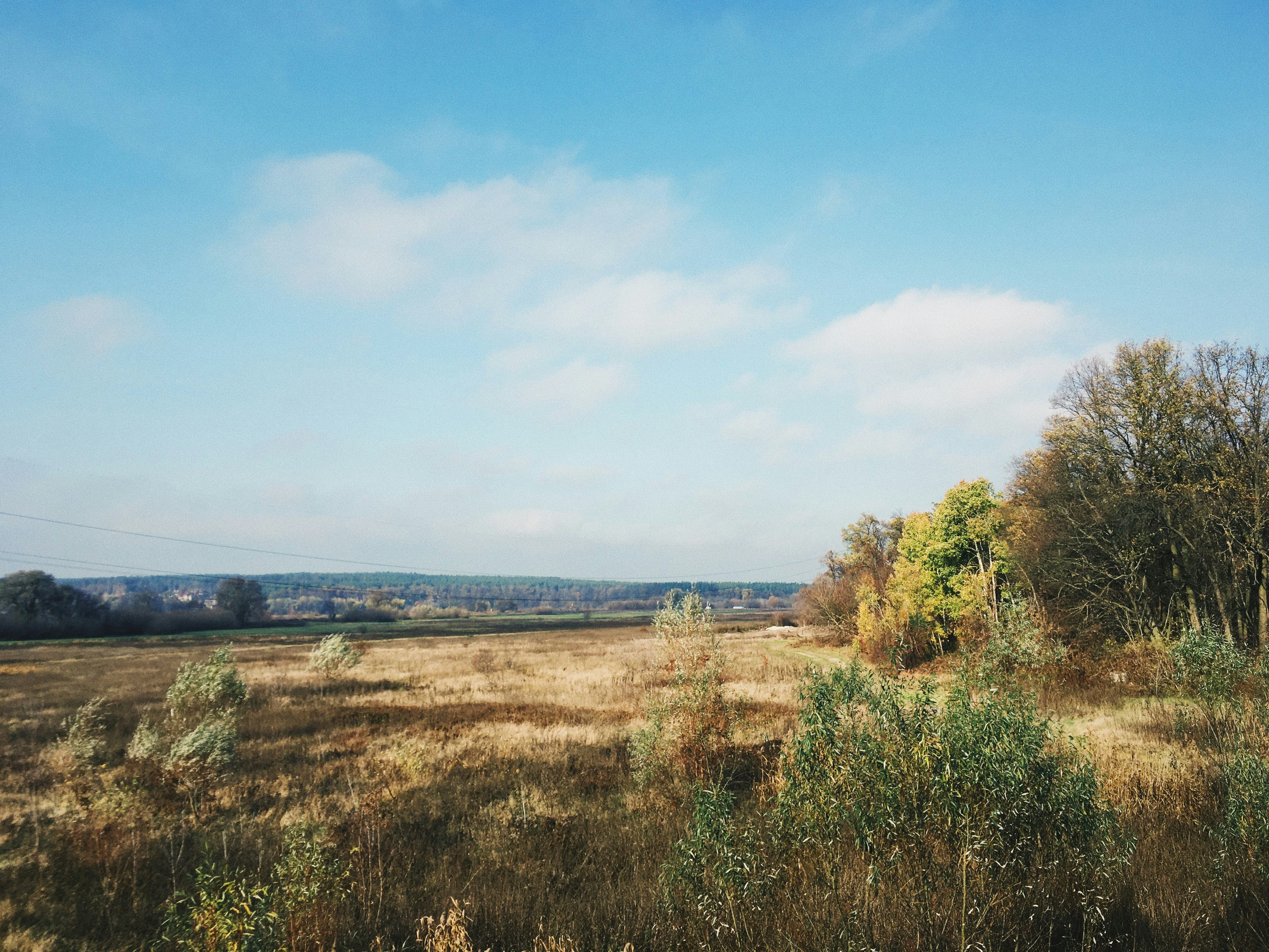 Photo by ingvar_erik