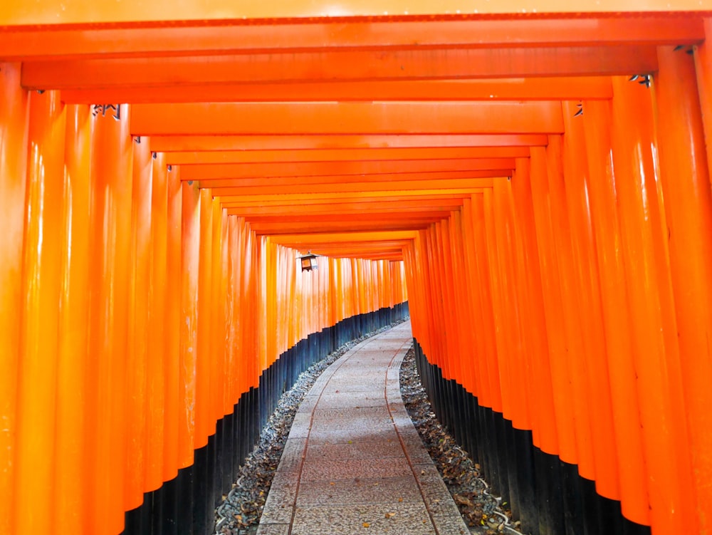 orange and black pathway photograph