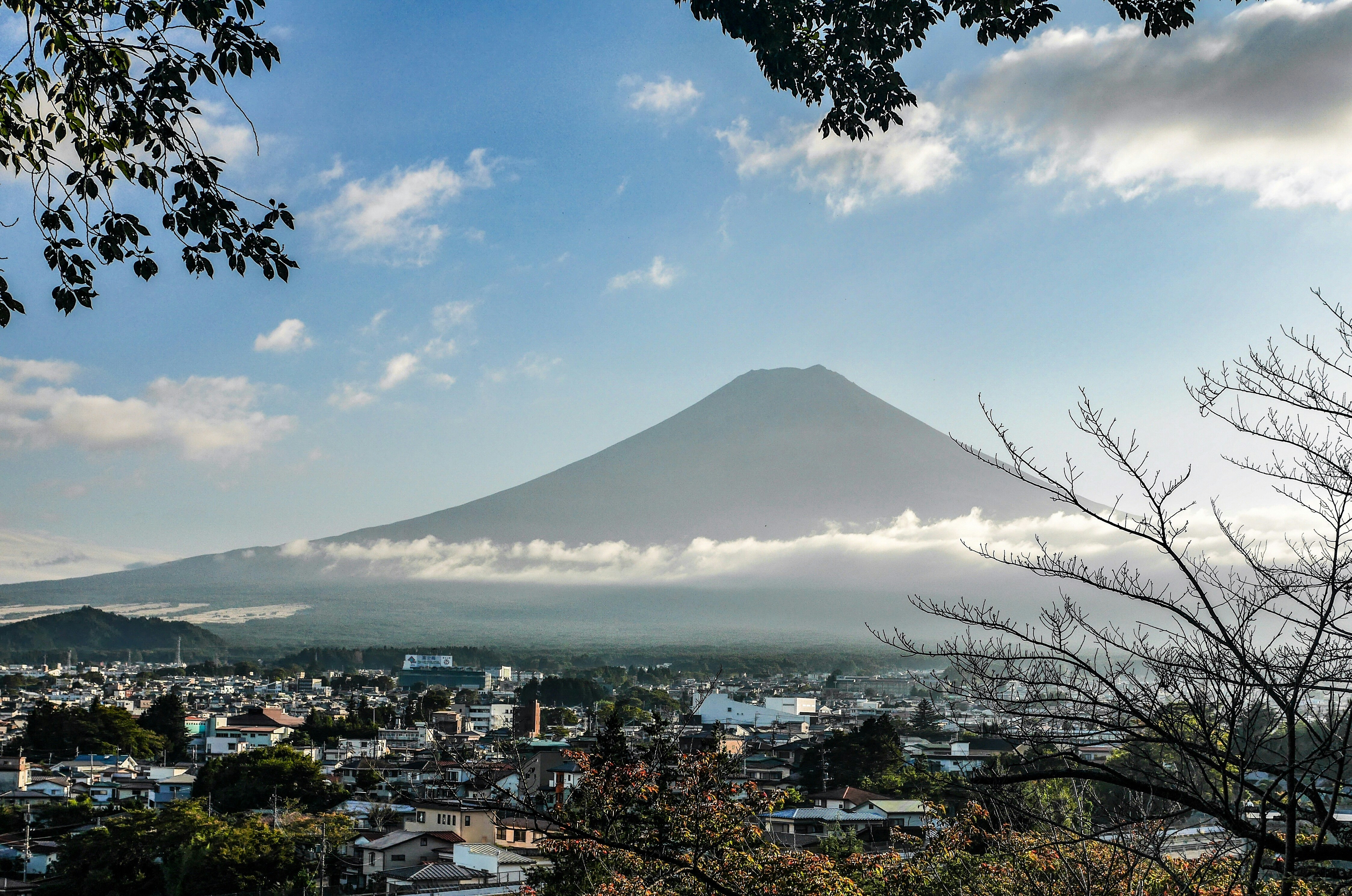 Photo by bagpuss4000