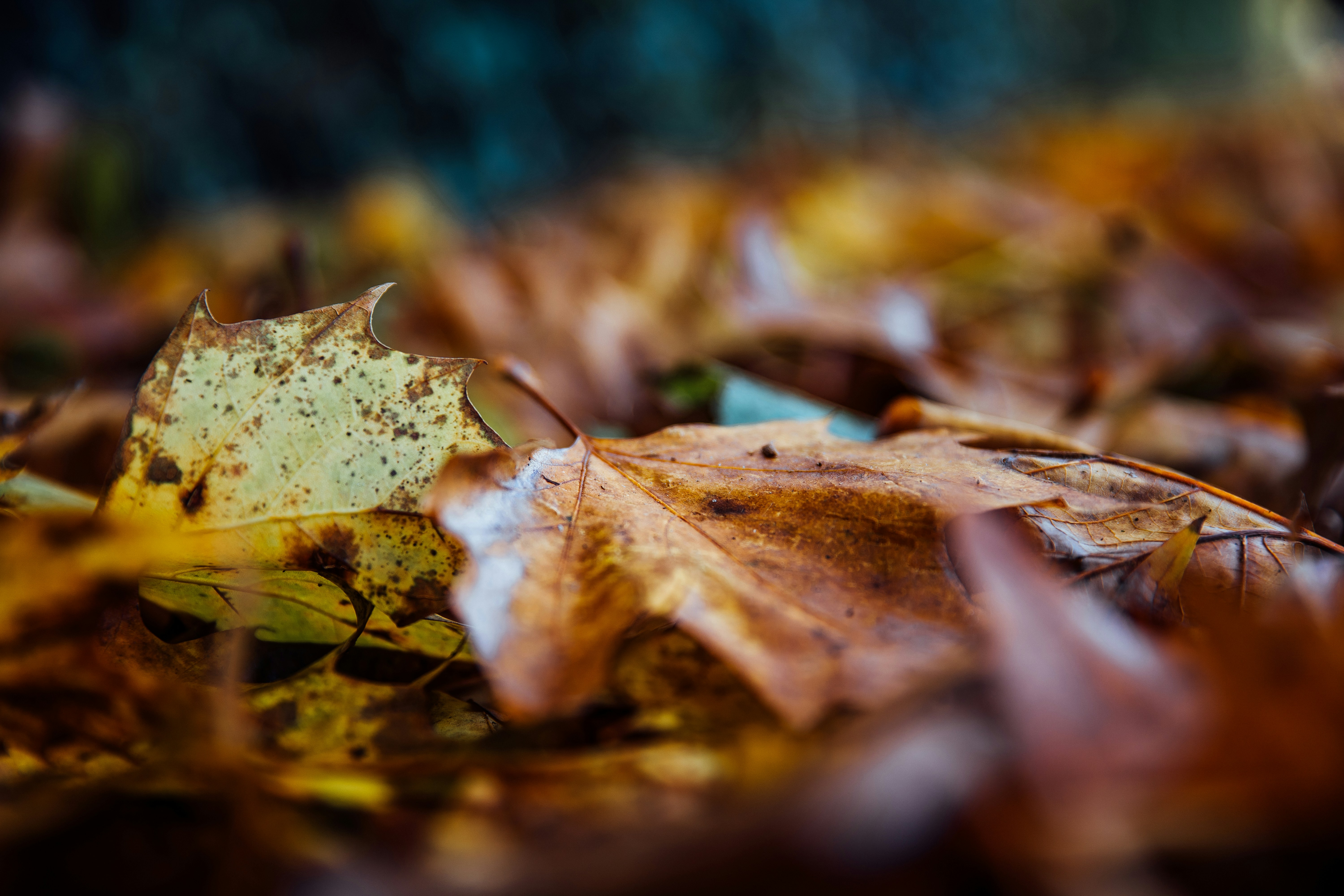 Photo by nicolasjleclercq