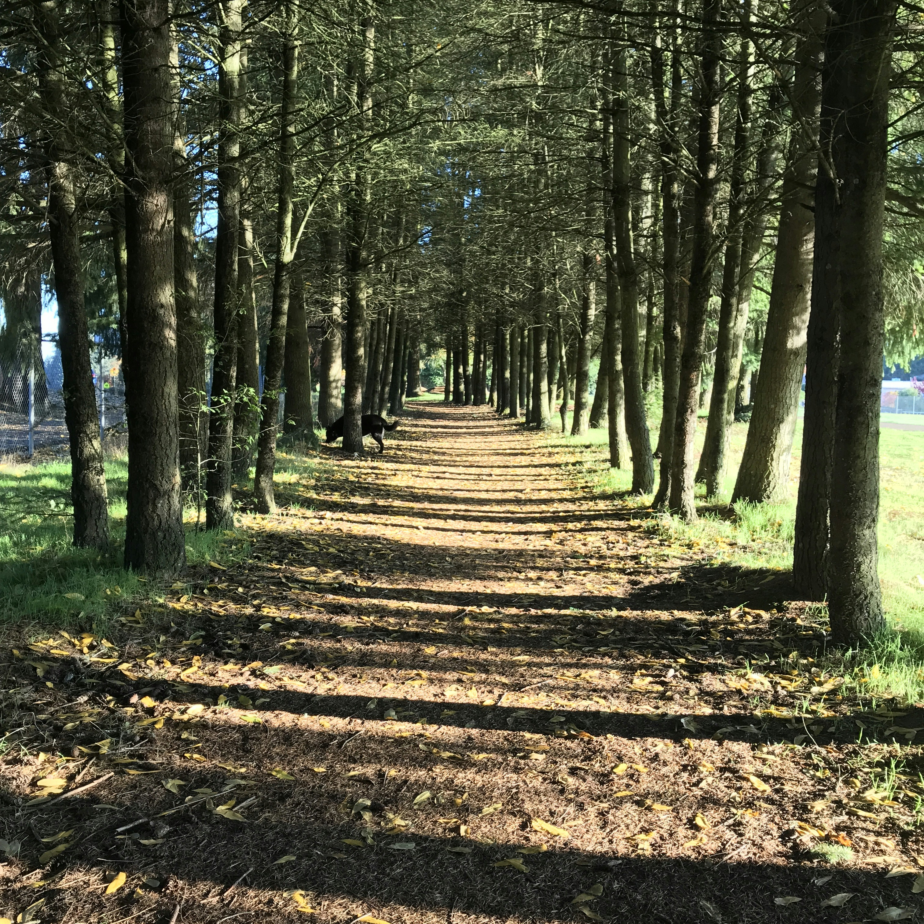 Photo by dcmcallister