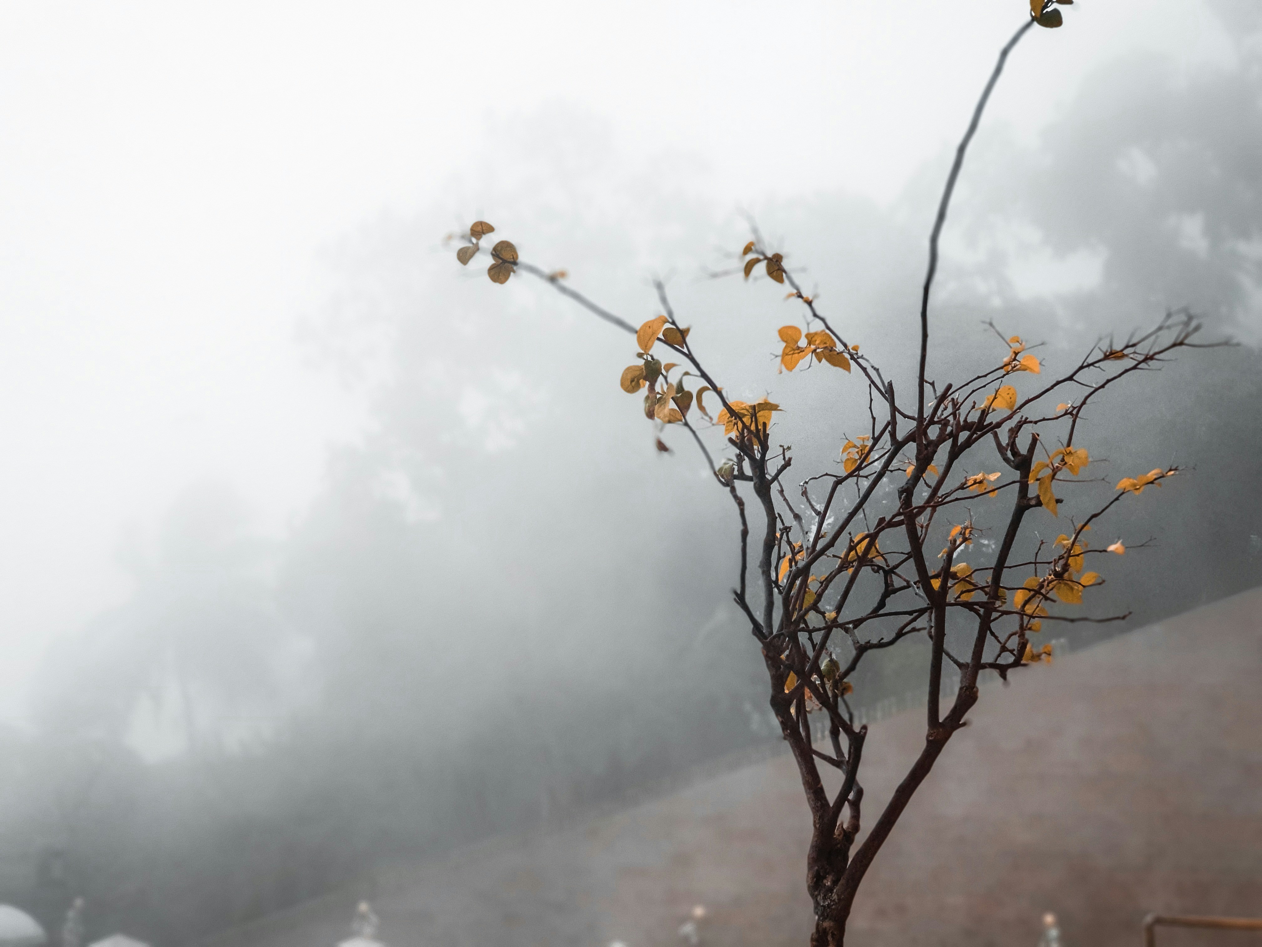 Photo by kendrewgrey