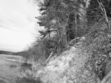 A black and white photograph depicting a serene natural landscape. A lake or river is located on the left side with gentle ripples, while the right side features a sloping embankment covered with sparse foliage. Tall trees and assorted vegetation line the edge of the water, extending towards the sky, creating a peaceful atmosphere.