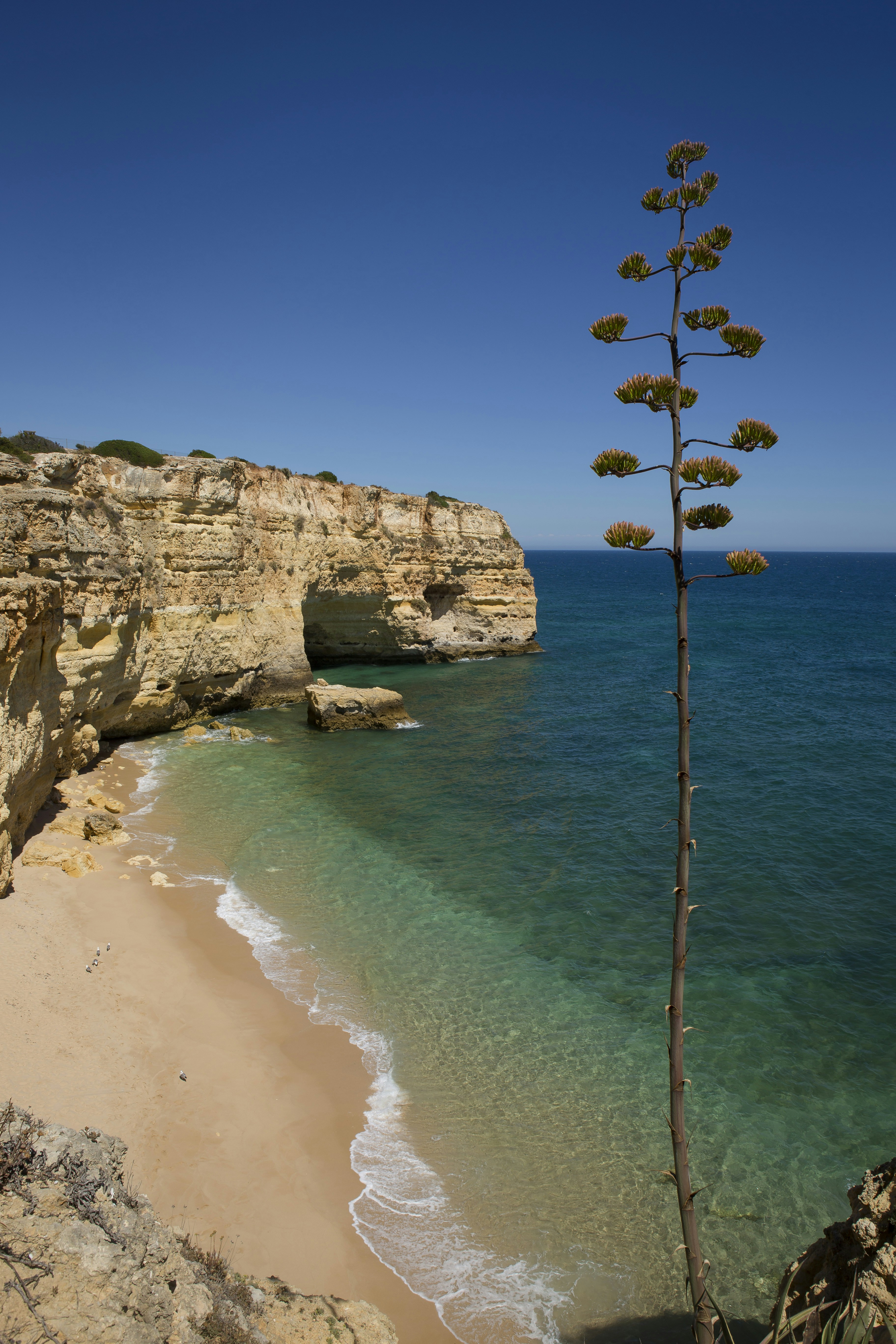 Formation rocheuse en face de la plage