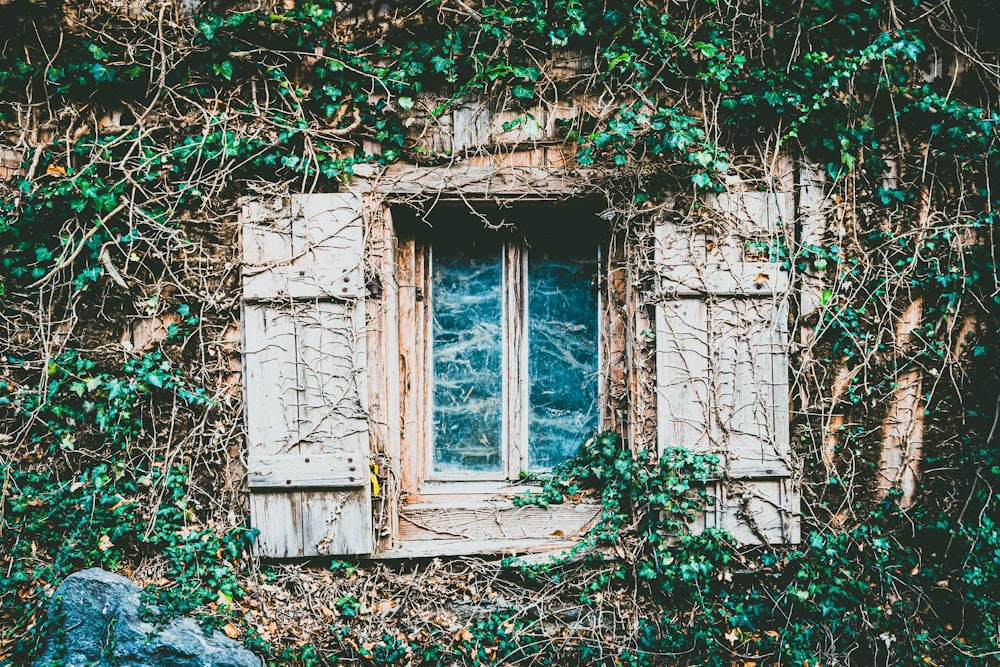 brown wooden window panel