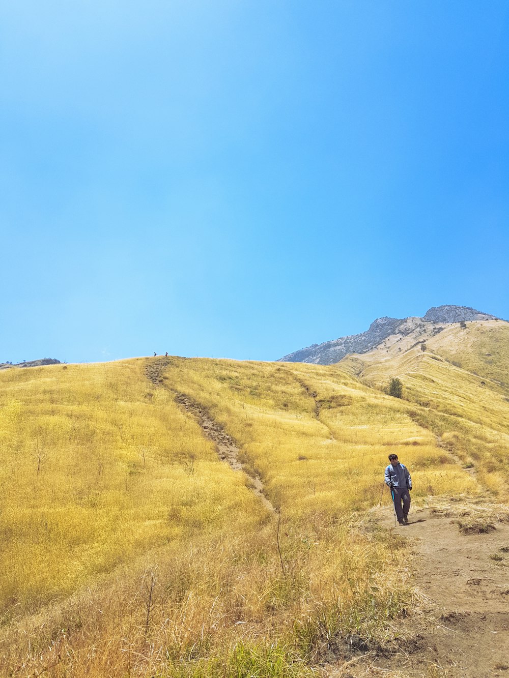 personne marchant sur le sentier