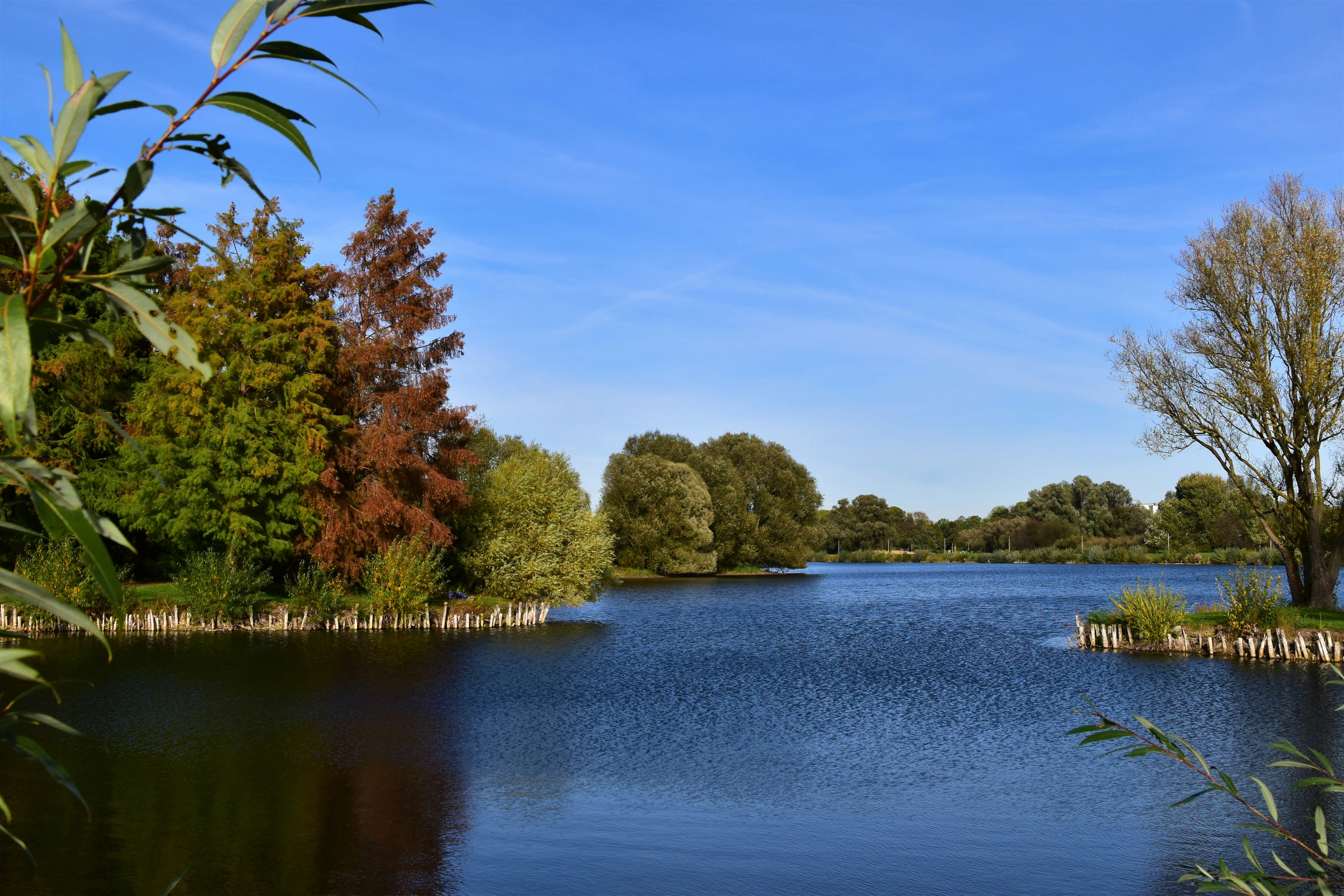 Photo by waldemarbrandt67w