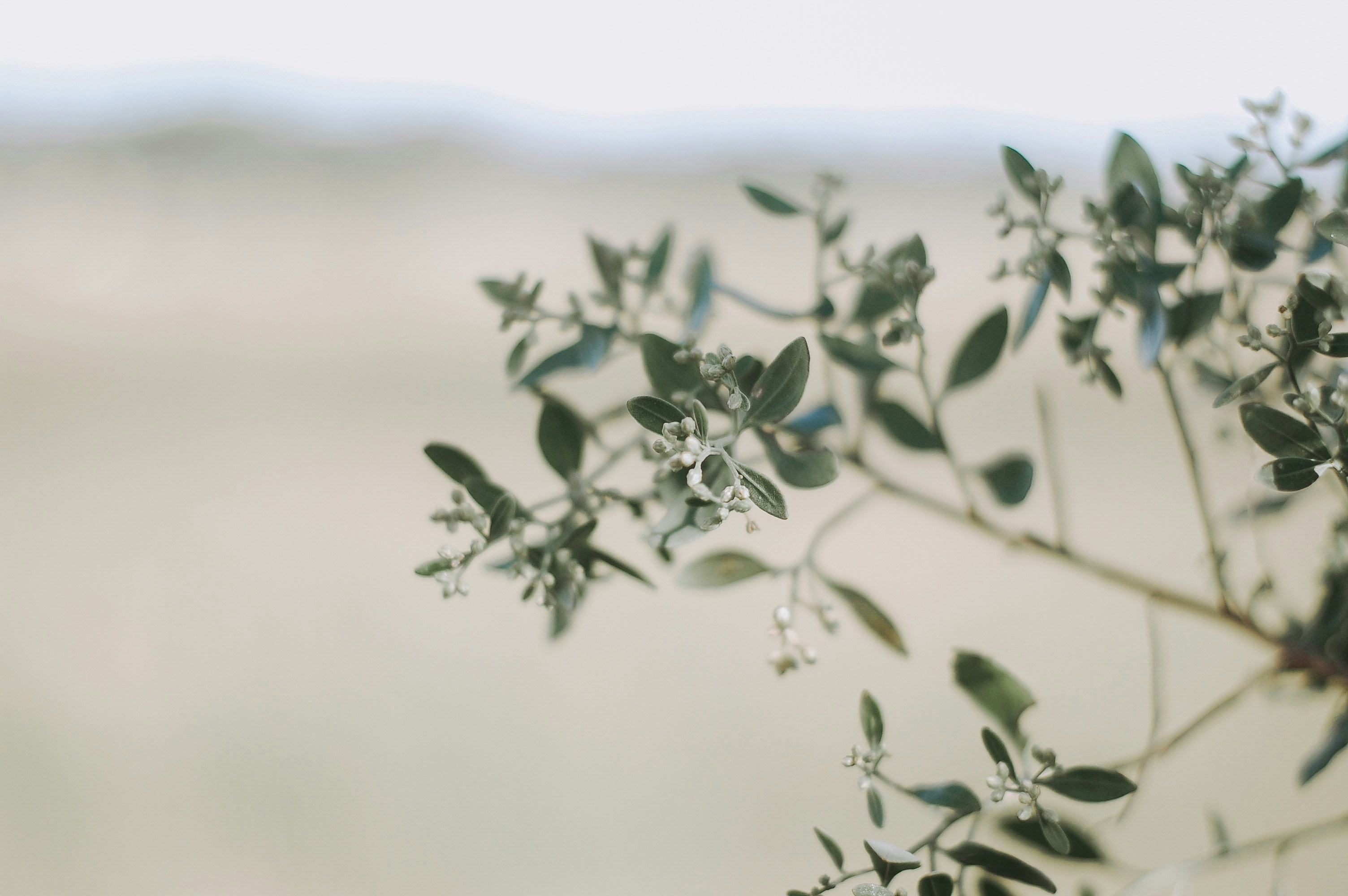 Photo by wilderandrae