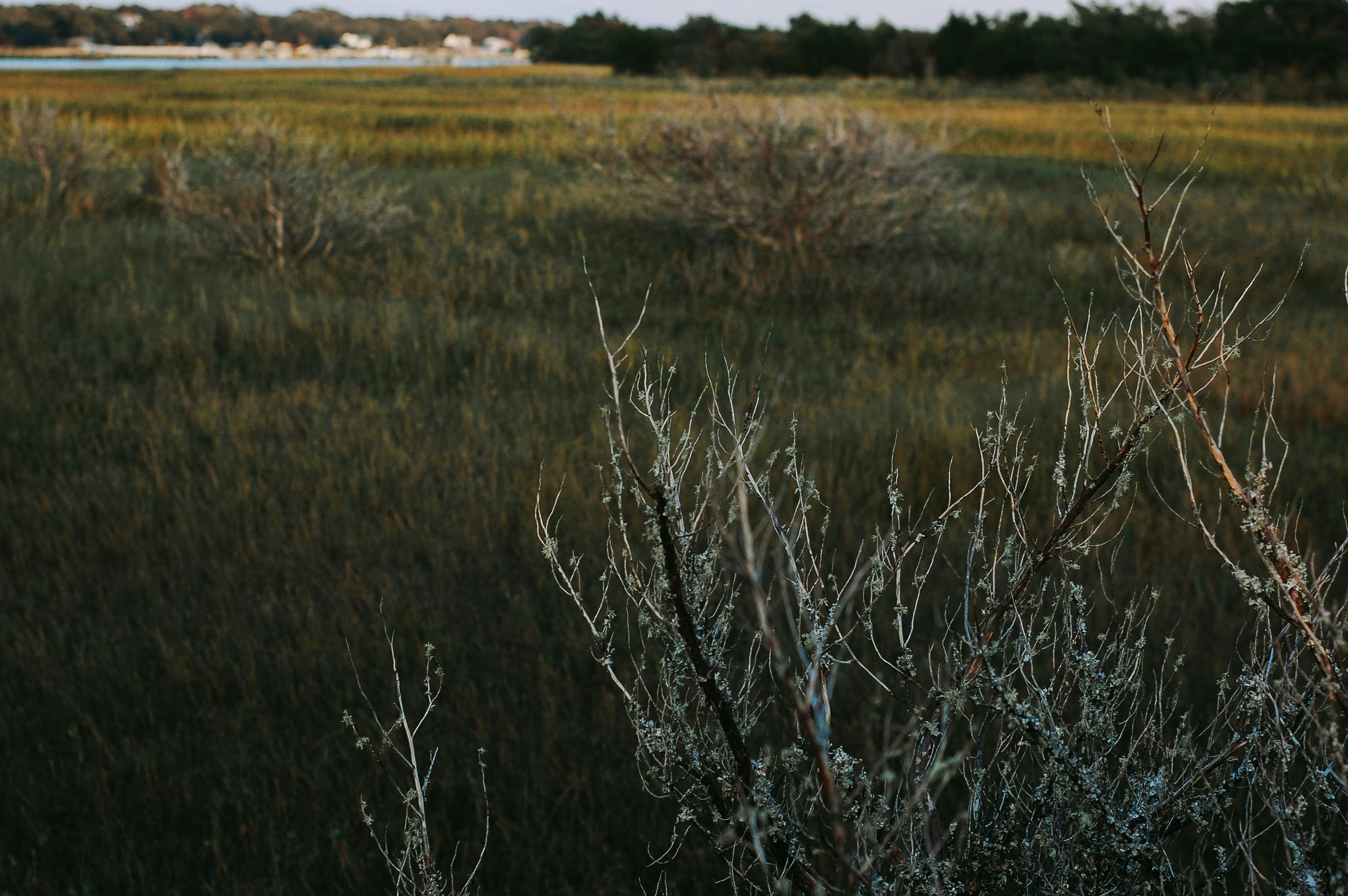 Photo by wilderandrae