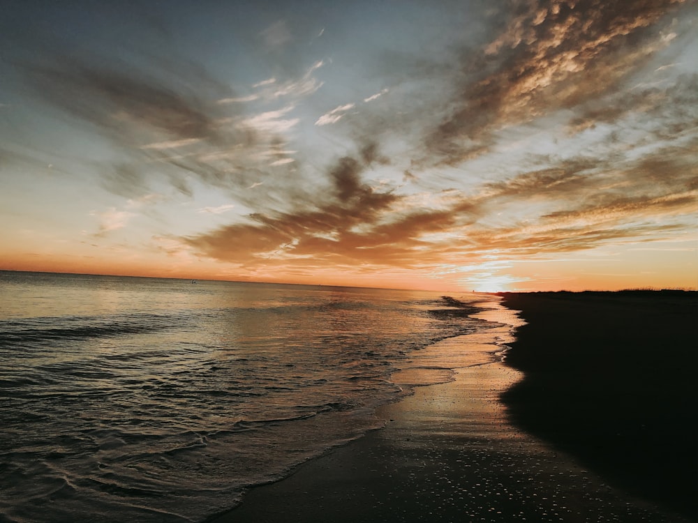 shoreline during golden hour