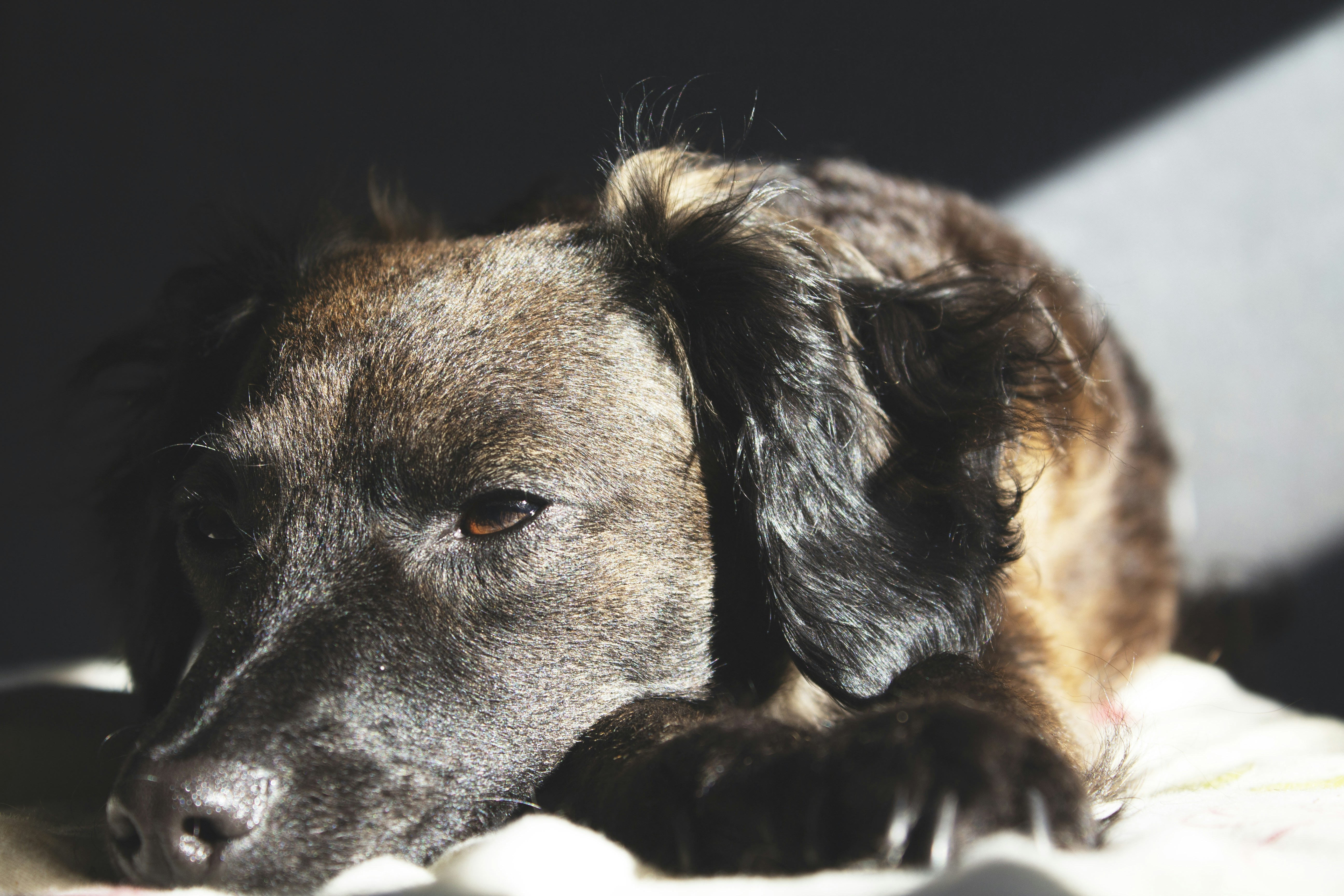 Photo by mabevillanueva