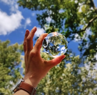 unknown person holding clear glass ball