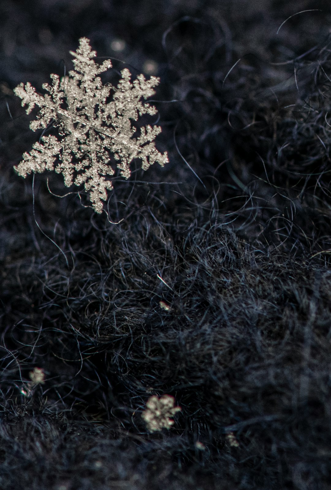 snowflake on grass