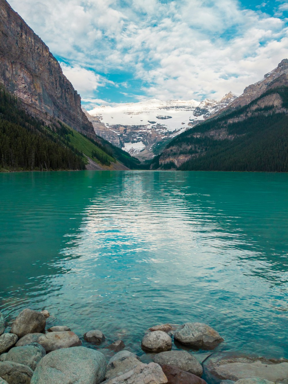 calm body of water beside trees