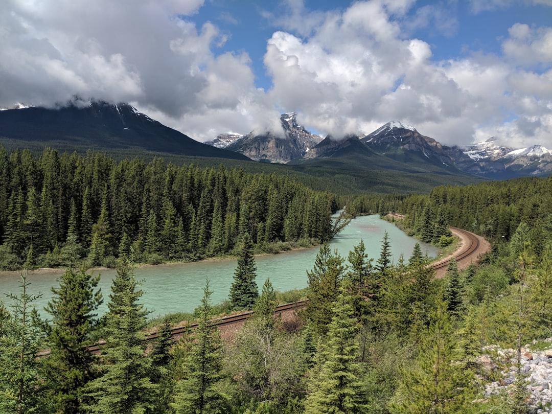 Tropical and subtropical coniferous forests photo spot Bow River Canada