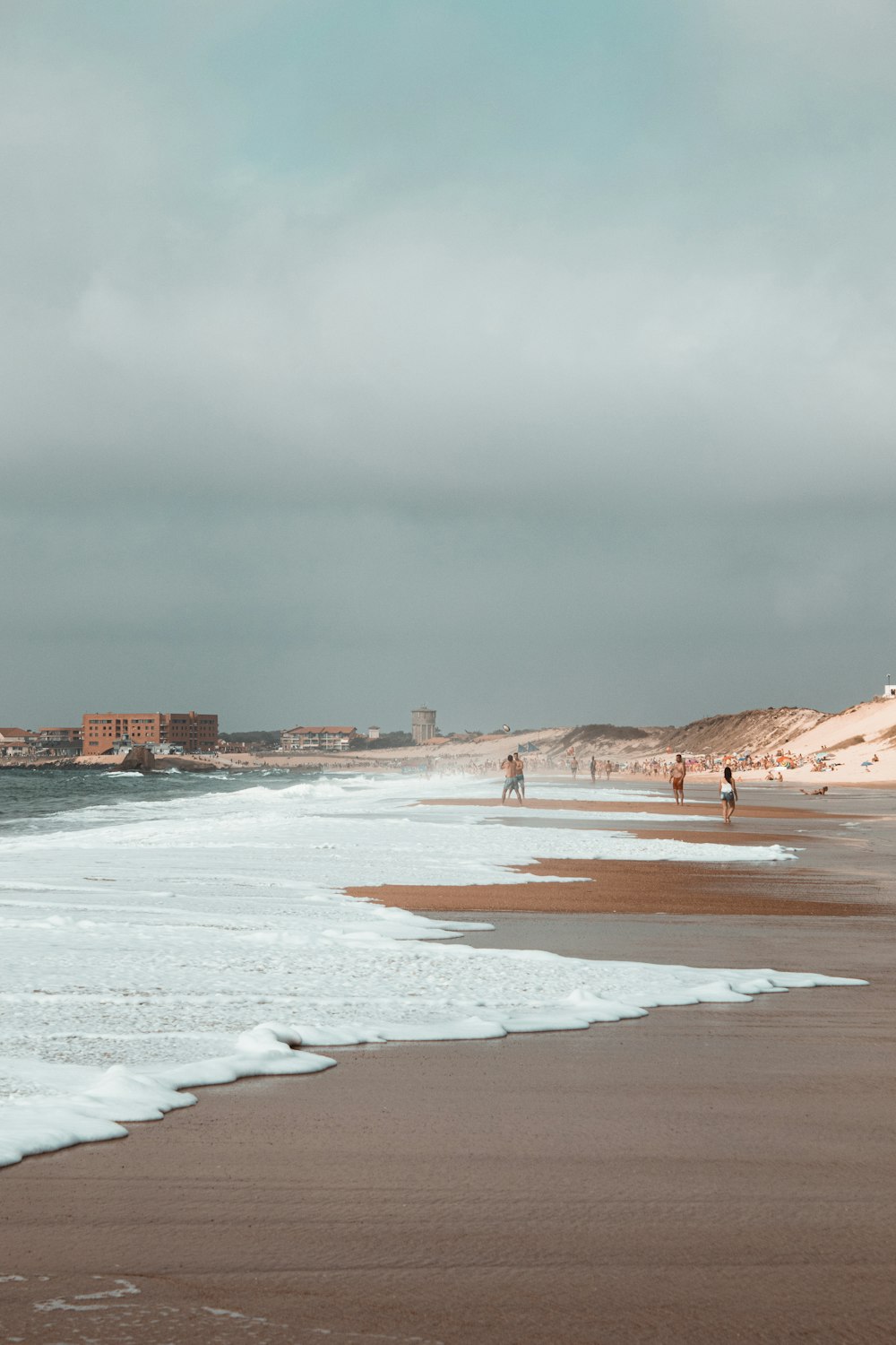 people on seashore during daytime