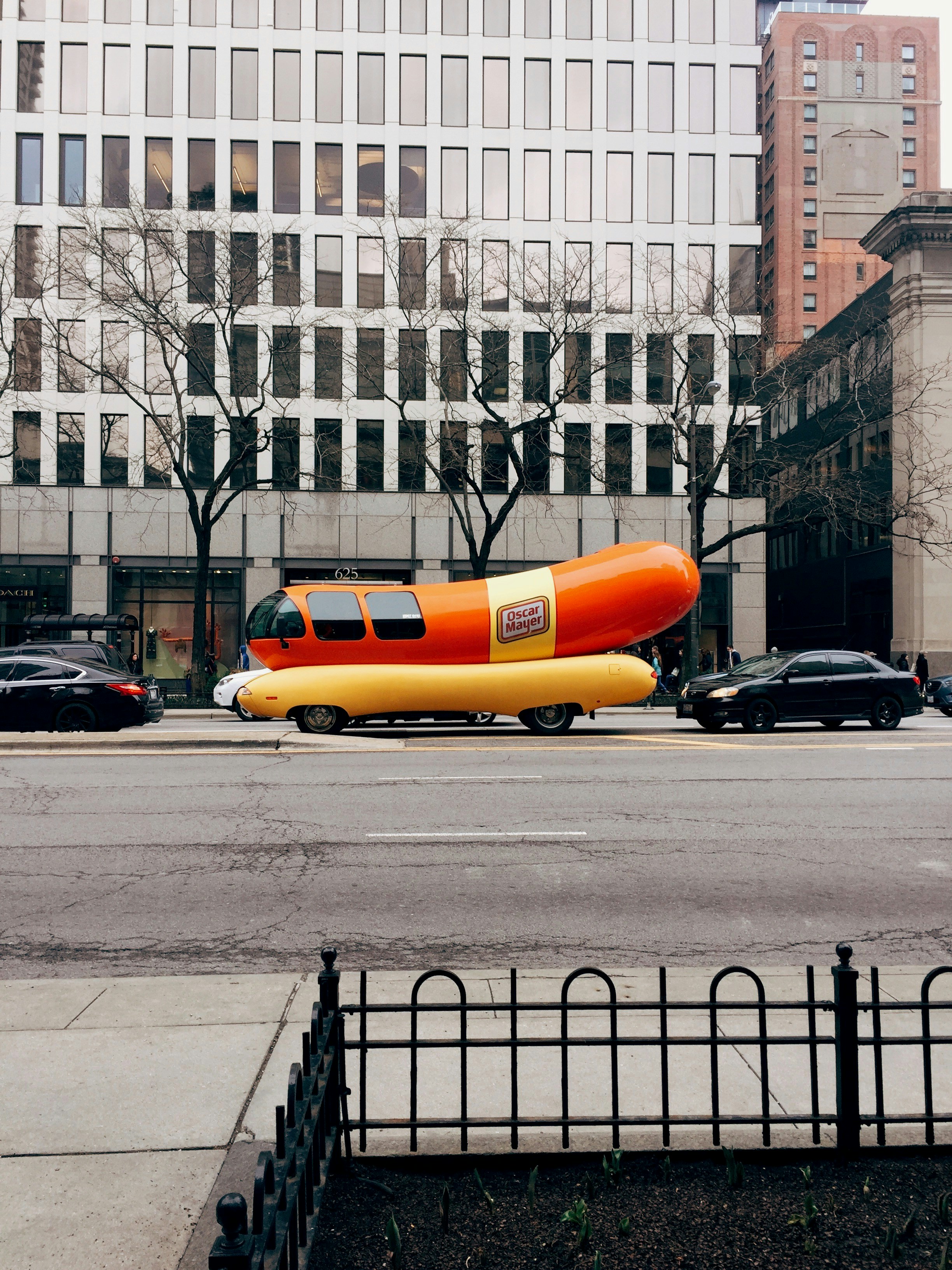Chicago Style Hot Dog Delight