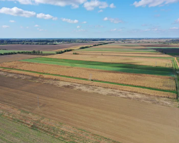 Landscape of a farm with crops and a blue sky.