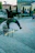 Skater performing a trick mid-air with cityscape in the background.