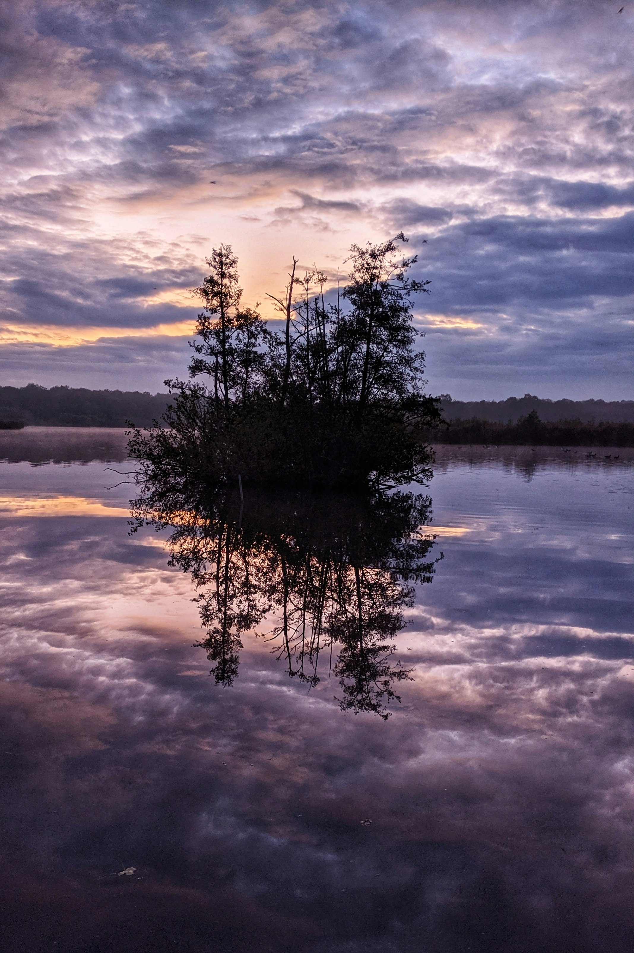 Sunrise reflections over Fleet Pond in Hampshire
