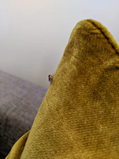 Close-up of a technician inspecting a mattress for bed bugs in a cozy bedroom.